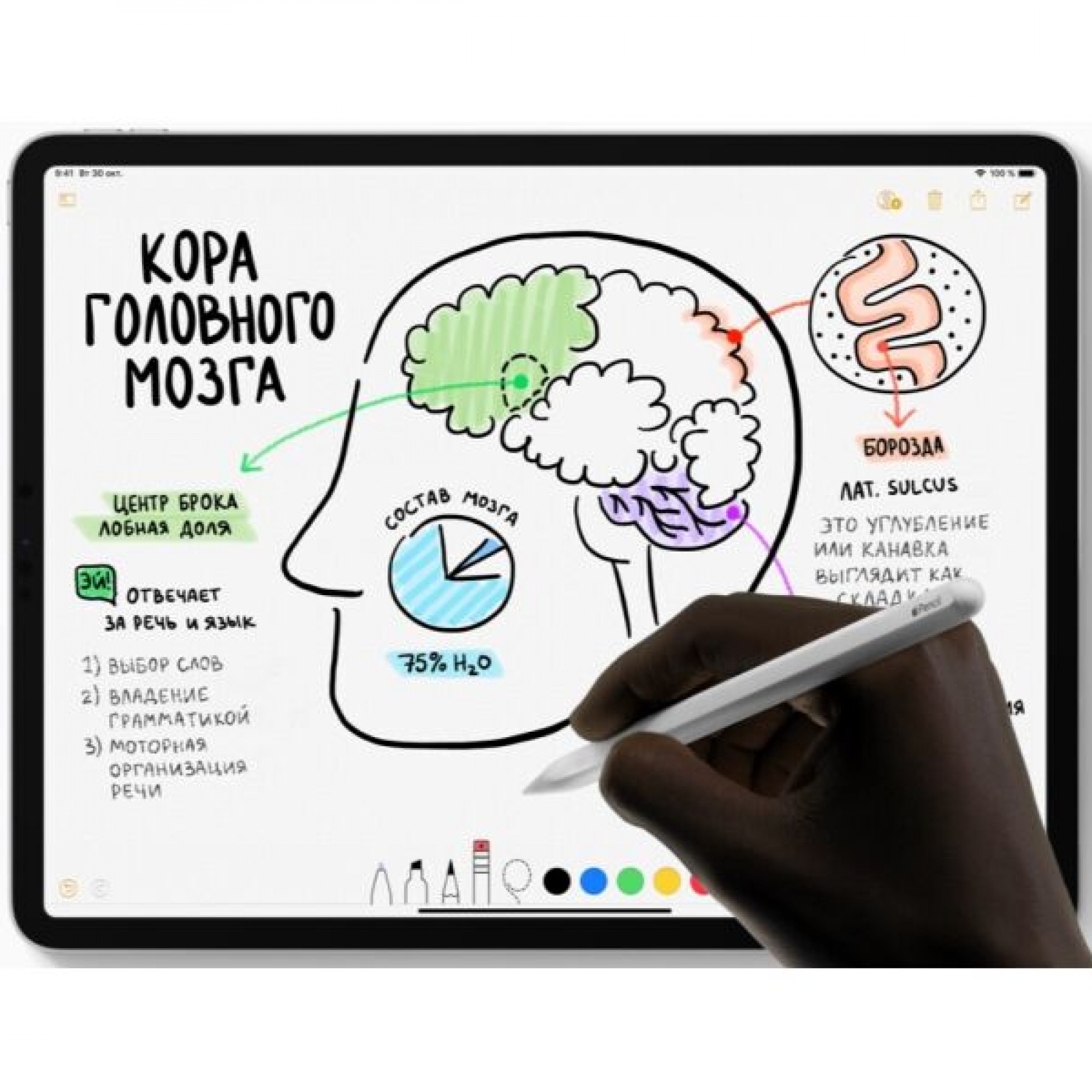 iPad Pro 12.9' Wi-Fi 1TB, SG 2018 (MTFR2) б/у